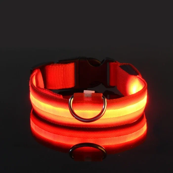 kf-S43dc8ce66237466f889f519808a5f46eq-Dog-Collar-Nylon-LED-Night-Safety-Flashing-Glow-In-The-Dark-Pet-Dog-Leash-pet-Dogs GlowSafe LED Dog Collar