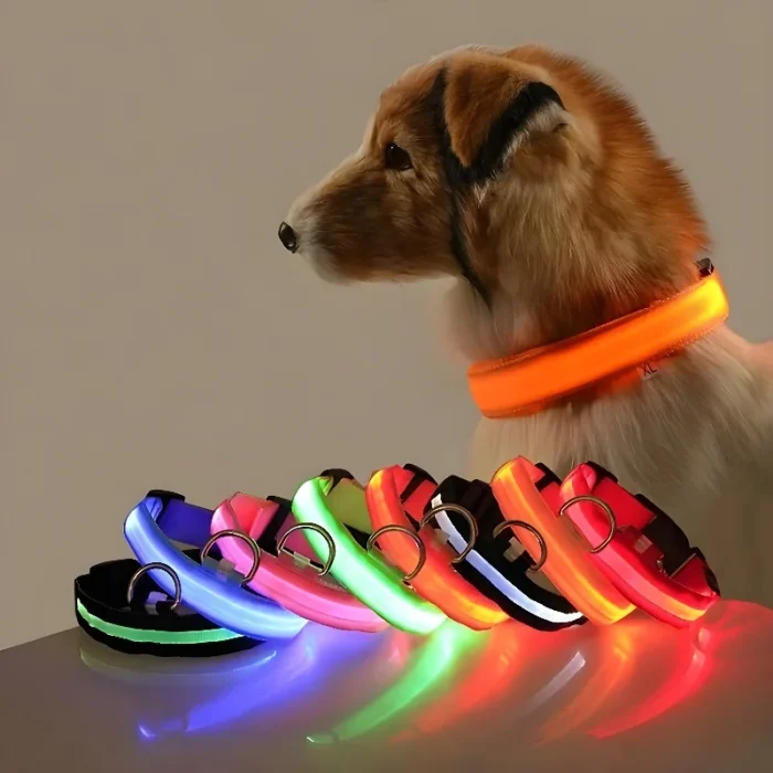 kf-Sd3174d1427bd4c83b4703fa7f8d51b7f8-Dog-Collar-Nylon-LED-Night-Safety-Flashing-Glow-In-The-Dark-Pet-Dog-Leash-pet-Dogs GlowSafe LED Dog Collar
