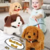 kf-S99cb7e6bde4a4b73a4de0c769d553b2cN-Electronic-Walking-and-Barking-Plush-Dog-Toy-Interactive-Puppy-Dog-with-Remote-Control-Leash-for-Kids Puppy Play Master Pro